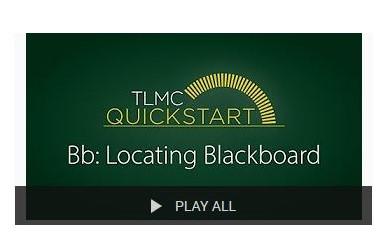 Instructional Series for Incoming Students Founder and Lead Designer